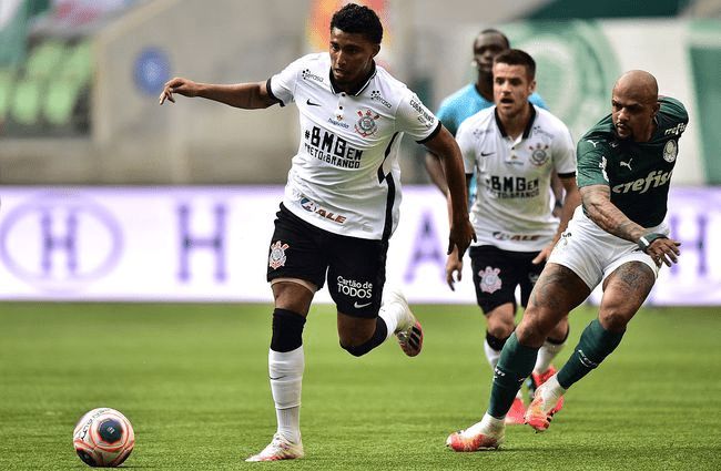 性与可延续 性与可延续