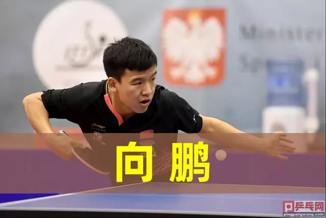 以结构托底